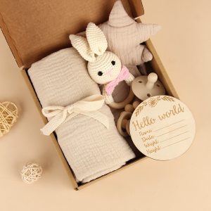 Baby Pacifier Chain suit Newborn Birth Gift Box Comfort suit Bite Animal Rattle Toy Hand Gift