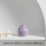Longli Ceramic Vase ins Simple Japanese-style Home Living Room Entrance Ornaments Decoration Soft Dried Flower Hydroponic Flower Set