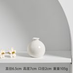 Longli Ceramic Vase ins Simple Japanese-style Home Living Room Entrance Ornaments Decoration Soft Dried Flower Hydroponic Flower Set