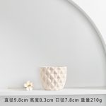 Longli Ceramic Flower Pot Fleshy Small Flower Pot ins Simple Home Mini Flower Pot Ornaments Decoration Ornaments Potted Plant Green Plant