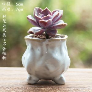 Fleshy Flower Pot Ceramic Thumb Mini Plant Flower Distinctive Creative Flower Pot Kiln Change Fleshy Small Old Pile Flower Pot