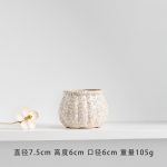 Longli Ceramic Flower Pot Fleshy Small Flower Pot ins Simple Home Mini Flower Pot Ornaments Decoration Ornaments Potted Plant Green Plant