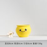 Longli Ceramic Flower Pot Fleshy Small Flower Pot ins Simple Home Mini Flower Pot Ornaments Decoration Ornaments Potted Plant Green Plant