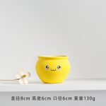 Longli Ceramic Flower Pot Fleshy Small Flower Pot ins Simple Home Mini Flower Pot Ornaments Decoration Ornaments Potted Plant Green Plant