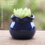 Fleshy Flower Pot Ceramic Thumb Mini Plant Flower Distinctive Creative Flower Pot Kiln Change Fleshy Small Old Pile Flower Pot