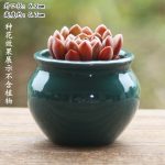 Fleshy Flower Pot Ceramic Thumb Mini Plant Flower Distinctive Creative Flower Pot Kiln Change Fleshy Small Old Pile Flower Pot