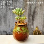 Fleshy Flower Pot Ceramic Thumb Mini Plant Flower Distinctive Creative Flower Pot Kiln Change Fleshy Small Old Pile Flower Pot