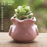 Fleshy Flower Pot Ceramic Thumb Mini Plant Flower Distinctive Creative Flower Pot Kiln Change Fleshy Small Old Pile Flower Pot
