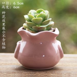 Fleshy Flower Pot Ceramic Thumb Mini Plant Flower Distinctive Creative Flower Pot Kiln Change Fleshy Small Old Pile Flower Pot